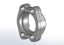 Flanges